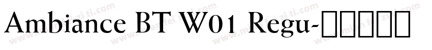 Ambiance BT W01 Regu字体转换